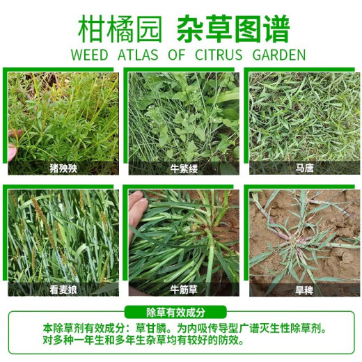 金帆达金帆达 757草甘膦铵盐草甘磷 柑橘园杂草除草农药烂根除草剂农药 2.5kg