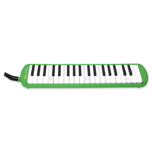 
Qimei Organ Children's Primary School Teaching Organ 37 Key Green Little Genius QM37A