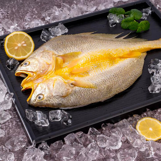 Sandu Port Frozen Yellow Croaker 1Jin Jin is equal to 0.5kg 1 Sandu Yellow Croaker Large Yellow Croaker Fresh Fish Seafood New Year's Goods