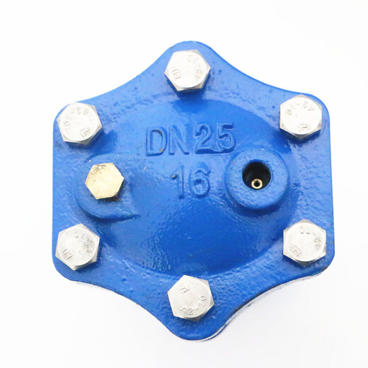 Amico micro soupape d'échappement 9708 corps en fonte pièces internes en acier inoxydable échappement automatique WP1X installation verticale échappement général 15-50 2 pouces micro soupape d'échappement DN50