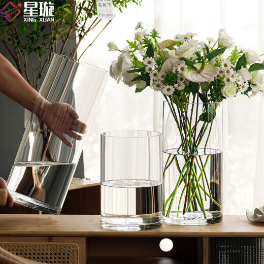Lintong Xingxuan vase decoration living room special vase for inserting snow willow high-end transparent glass bottle Ma Zui Mu water nourishing rich bamboo caliber 15 height 25cm [transparent color] first-class product
