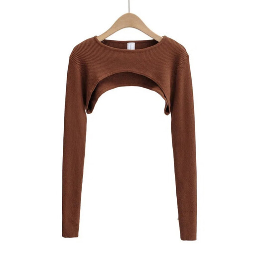 Rock color ultra short top tight hot girl sweet and spicy long-sleeved blouse for women spring and autumn new round neck color versatile T-shirt blood mattress brown S