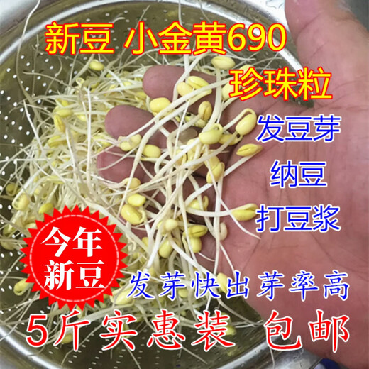 Sprouting kleiner goldener gelb 690 Sojabohnen 5 Jin [Jin entspricht 0,5 kg] Sprossen kleine Sojabohnen, um Natto -Perlen 250 g speziell 690 Sojabohnen 5 Jin zu machen [Jin entspricht 0,5 kg]