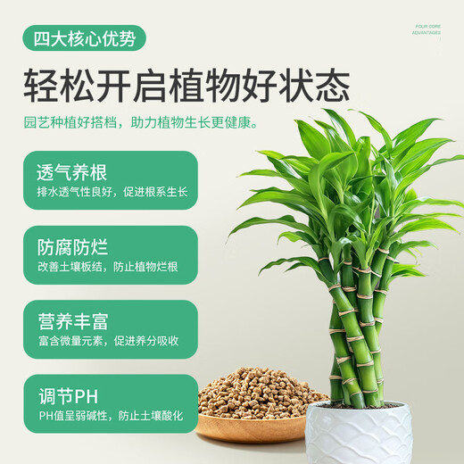 Stanley gold soft medical stone granular paving, special green plants for succulent flowers, general soil potting mixed with soil and stone 5Jin Jin is equal to 0.5kg