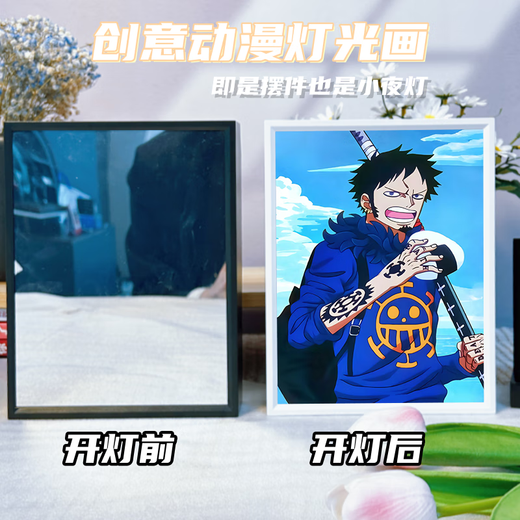 海贼王镜子灯光画娜美发光装饰画相框画客厅画生日礼物女生小夜灯 15766 罗1 镜子白框充电款16.5*21