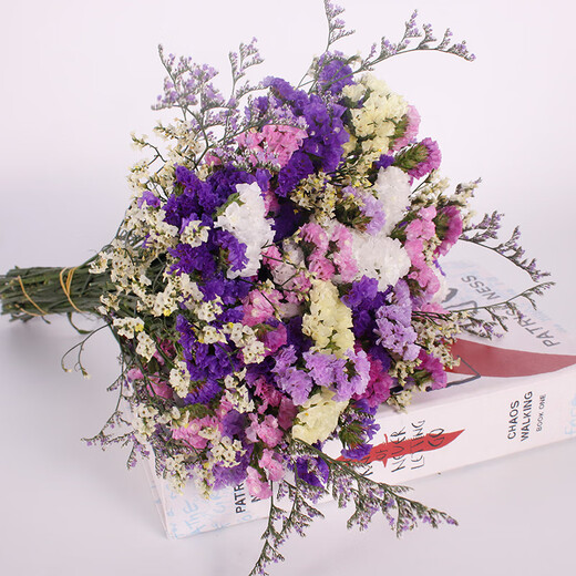 Love Yunnan Forget-Me-Not Dried Flowers Flower Ornaments Living Room Decoration Real Flower Arrangement Gypsophila Bouquet Festival Birthday Matching Rose Red + Red Crystal + Grass About 30 pcs