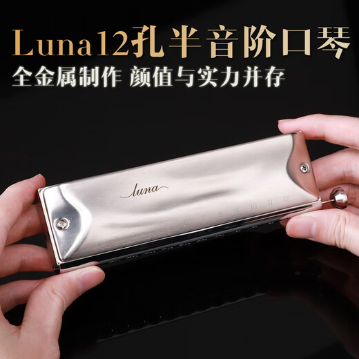 Gardry (JDR) Mondlicht Design Japaner importierter Ring Luna Luna Advanced Professional Performance 12-Loch-Chronik Harmonische 12-Loch-Grau-Bürstbedeckung