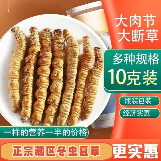
Luzhangtang authentic Tibetan high-altitude fine cordyceps broken grass cordyceps broken grass Cordyceps self-eating buy 10 grams of 11 grams of 11 grams of buy Duohui Nagqu high-altitude meat festival in Tibet 1 grams of 1 grams of 1 grams of (less careful to shoot)