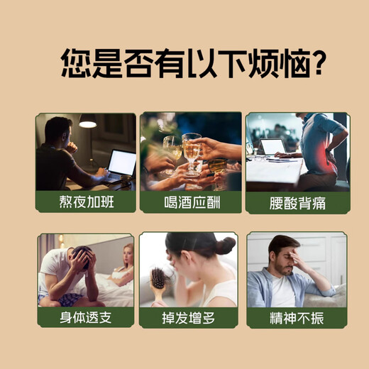 加邮邮政农品人参枸杞桑葚桂圆茶黑枸杞红枸杞养生红枣茶六宝茶六堡茶 【体验装】1盒12包,无赠品