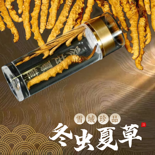 那曲冬虫夏草冬虫夏草西藏那曲虫草2根一克干货冬虫草送礼佳品50根礼盒装 50根礼盒装‘