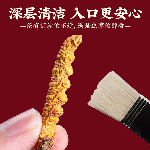 Tongfu Cordyceps Sinensis 3 корни/G 5G 15 подарочная коробка корней, питательные пищевые добавки, подарки для старейшин
