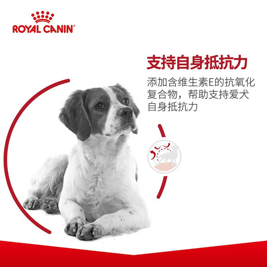 Royal Canin Food, general purpose for medium-sized dogs, adult dogs, puppies, weaning milk cake, pregnant bitch dog food, M25-12 months and above, adult dogs 4kg*4
