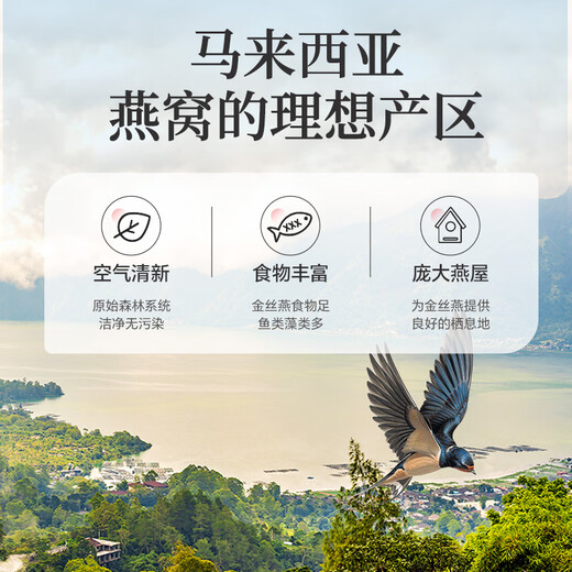 雷允上【官方】干燕窝进口干燕盏可溯源送长辈营养品滋补品礼盒做燕窝粥 【亲情永固】【马来进口密盏】六星 50g 礼盒装