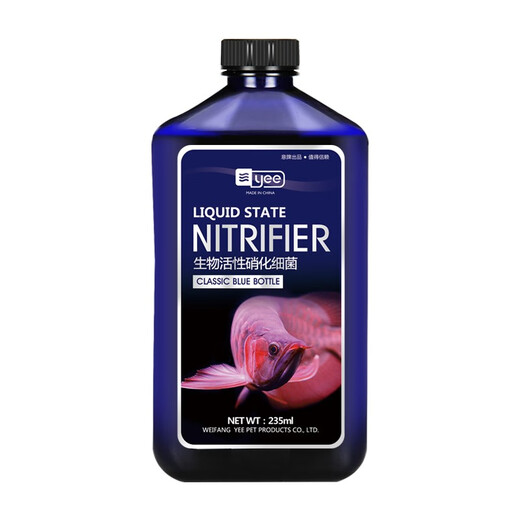 Yee bacterias nitrificantes Tanks de pescado Agente de purificación de agua estable Purificación de calidad del agua Digestión de desinfección acuática
