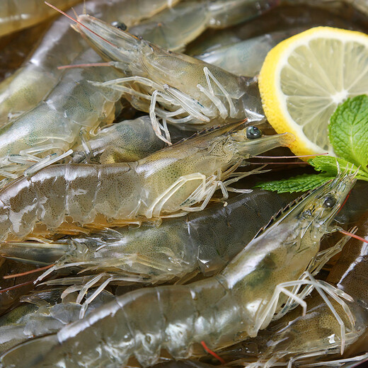 Fresh shrimp 250g (15-20 pieces)