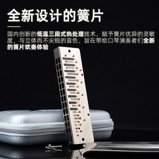 Gardry (JDR) Mondlicht Design Japaner importierter Ring Luna Luna Advanced Professional Performance 12-Loch-Chronik Harmonische 12-Loch-Grau-Bürstbedeckung