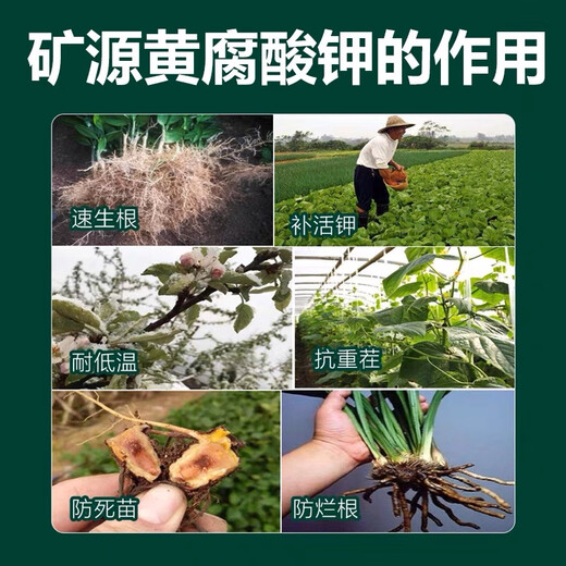 Mineral source potassium fulvic acid export grade Wujin 99 mineral source potassium fulvic acid vegetable and fruit crops take root and increase production 5Jin Jin equals 0.5kg sub-package