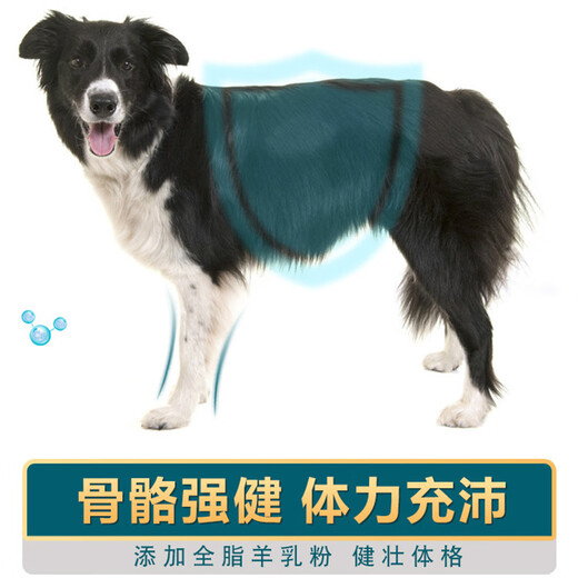 Mengxier Border Collie Dog Food Special for Puppies and Adult Dogs General Natural Food Calcium Supplement for Medium and Large Border Collies Beef Flavor 0g 0 Pack Border Collie Adult Dog Food 10Jin Jin is equal to 0.5kg