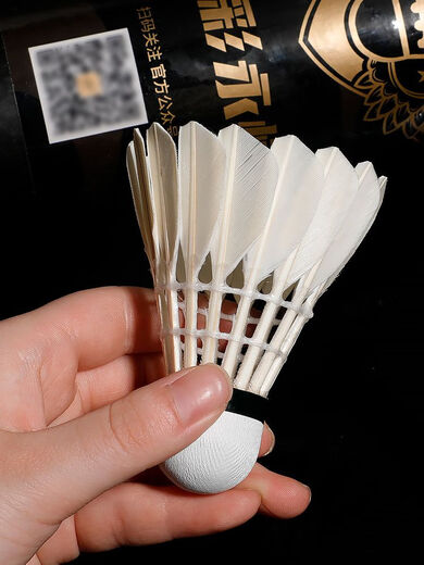 Liuhui Space Nr. 3 Badminton Wunderbare G6 Badminton Rückspülung Gänsefeder Training Wettbewerb 12 Bälle fliegen. Wunderbarer G677 Speed ​​Rückspülung Buckel