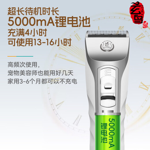 Xuanniao pet shaver, professional hair-shaving electric clipper for dogs, high-power shaver for cats and dogs, large electric hair clipper and long battery life. The whole machine + 6.4mm blade. Teddy bears have shorter hair.