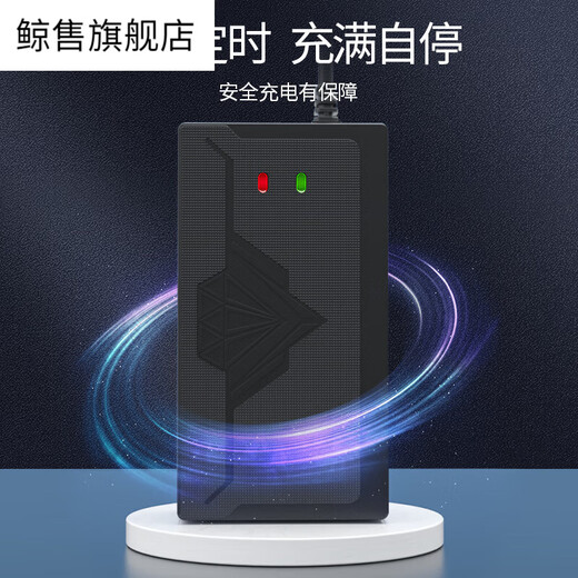 桐汝壁适用踏浪电动车车充电器4812AH20ah607230AH64电车三轮 4840-45AH T型通用