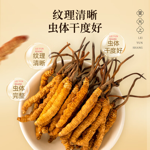 雷允上【官方】冬虫夏草 高端礼盒高档补品送人长辈父母礼盒 【虫草呈领，敬重恩酬】4根/g10g约40根