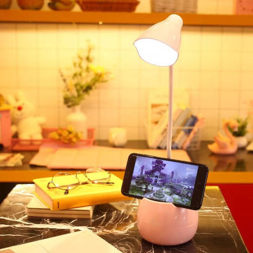 湖绵台灯学习少女心学生宿舍可充电插电可爱笔 可爱笔筒 粉色花朵