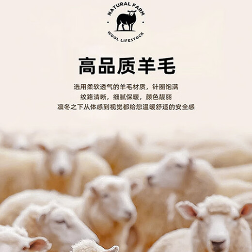 皮尔卡丹（pierre cardin）品牌羊毛呢子外套男秋冬短款鹅绒内胆立领中年爸爸双面呢夹克针织 咖色 M 170 100-125斤