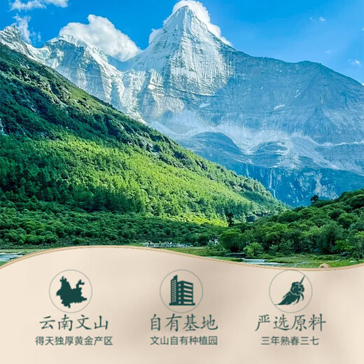 QINGREN YUNNAN Wenshan Panax Notoginseng Powder 60g (3G/Bolsa X 20 bolsas) Stasas de sangre dispersantes de polvo fino envasado independientemente para dejar de sangrar y vomitar heces de sangre y reducir la hinchazón y dolor en polvo Tianqi 3 cajas