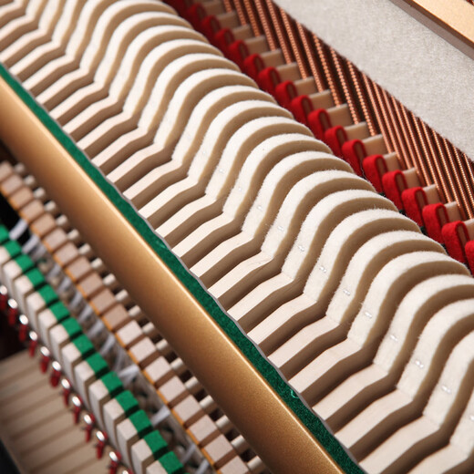 Pearl River Piano (PEARLRIVER) Ritmiiller High-end Home Adult American Vertical German Craft Piano Ritmiiller J1-U
