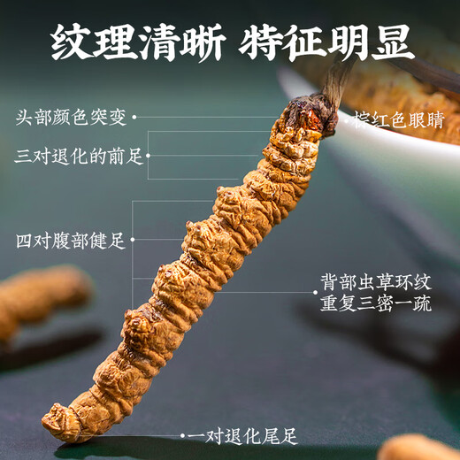 Tongfu Cordyceps Sinensis 3 корни/G 5G 15 подарочная коробка корней, питательные пищевые добавки, подарки для старейшин
