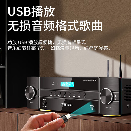 威斯汀家庭ktv音响套装KTV唱歌全套设备蓝牙功放机无线话筒麦克风家用客厅卡拉OK影院393功放双话筒版