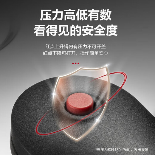 SUPOR pressure cooker gas 304 stainless steel pressure cooker household explosion-proof large capacity gas induction cooker universal diameter 20CM suitable for 2-4 people 20cm 4L