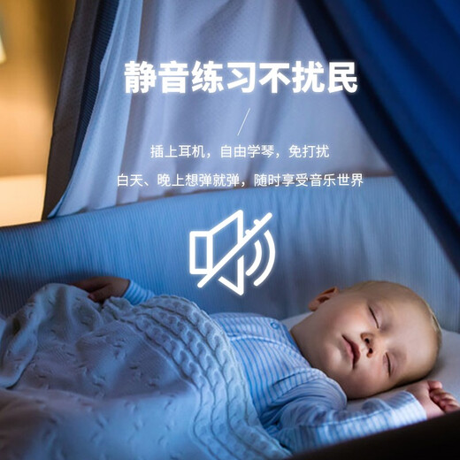 探律（TANLV）钢琴电钢琴88键重锤专业成人初学者幼师儿童家用立式数码电子钢琴 T04烤漆黑-大立柜-纯钢重锤带轮