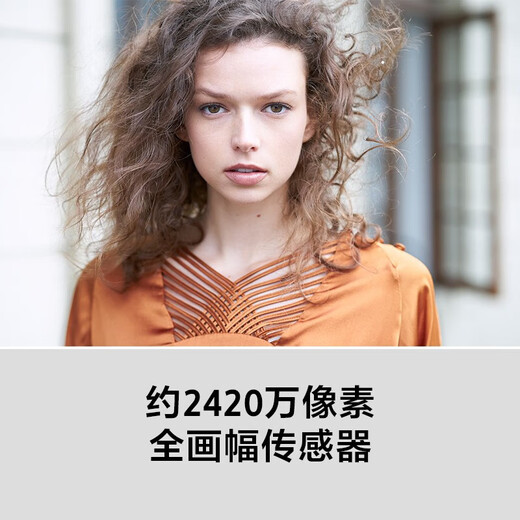 Sony (SONY) ILCE-7M3K standard set full-frame mirrorless digital camera approximately 24.2 million effective pixels 5-axis anti-shake A73/A7M3/A7M3K memory card set