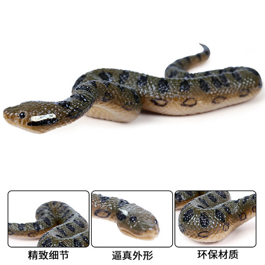 Oenux children's toys simulated snake wild animal model ornaments figures crawling snake pranks python glasses rattlesnake M-681 green anaconda overall is a small model (size and size to see the picture Specifications)