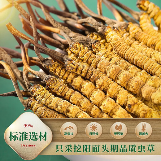 
Shengdikangzang [Festive Gift] Wild Cordyceps sinensis in Nagqu Nagqu Nagqu High-altitude Cordyceps Selected Gift Box 5 pieces/gram 20 grams