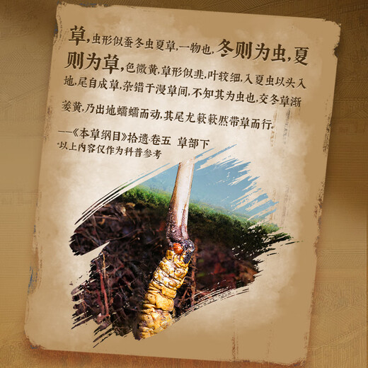 Lei yunshang [offiziell] Cordyceps sinensis High-End Cordyceps Geschenkbox Tonics für Älteste Geschenke für Gesundheit und High-End