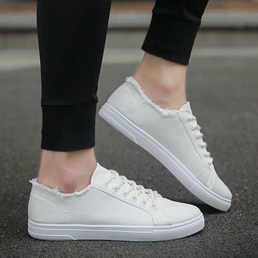 Wangzhibu Canvas Schuhe Herren 2025 Frühling und Herbst Neue Freizeitschuhe Herren koreanische Version VERSATILE FOLIG COLOR TOOD SHOUS Flat-LOLED-Schnüre-up White Schuhe 1712 White 41