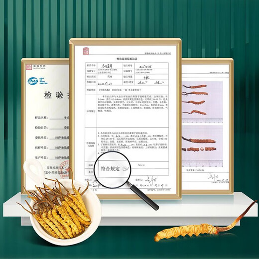 San Dikang Cordyceps sinensis, neue getrocknete Cordyceps nahrhafte Geschenke, Geschenke für Älteste, Ernährungsprodukte, 4 Stöcke/g, 30 Gramm, 120 Sticks