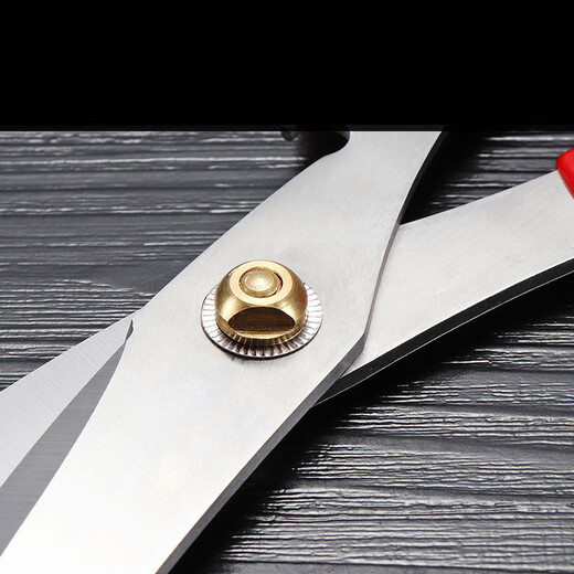 全适不锈钢厨房剪刀烧烤剪刀鸡骨剪鱼骨剪烤肉剪子多功能剪食物辅食剪