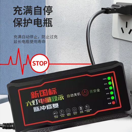 四万公里 电动车电瓶充电器60V20AH爱玛雅迪台铃小刀石墨烯通用 SWY6622