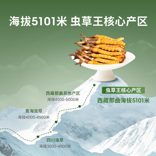 Ayishe Tibet's first squash of wild fresh Cordyceps sinensis in Nagqu, Tibet in 2025, air transported, and gift boxes for nutritional products for elders. Wild fresh grass 0.5g/root 100