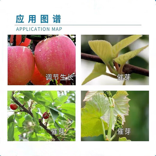 Rongya 50 cyanamide grape germination promoting bud break sleep tooth Qi early germination cyanamide growth regulator 250g*1 bottle