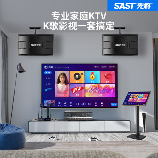 先科家庭ktv音响套装点歌机卡拉ok点唱一体机全套会议室家用家庭影院K歌全套电视客厅专业唱歌组合音箱 10寸10单元音响+功放
