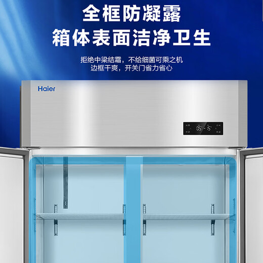 海尔厨房冰箱商用立式四门\六开门冰柜饭店食堂酒店饭店餐厅后厨不锈钢铜管大容量 双系统丨四门全冷冻1050D4S