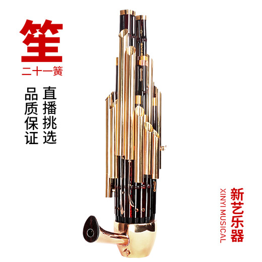 
New Art Exquisite Keyed Amplification 21 Spring Sheng Musical Instruments Complete Collection of Round Sheng Xiu Sheng Gong Yu Musical Instruments sheng bag beginners 21 Spring Amplification sheng (Purple Bamboo White Copper Tube D Tunnel