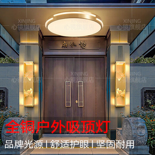 心镜全铜吸顶灯走廊过道专用超薄阳台灯户外防水别墅防蚊虫入户门前灯 X3890-510