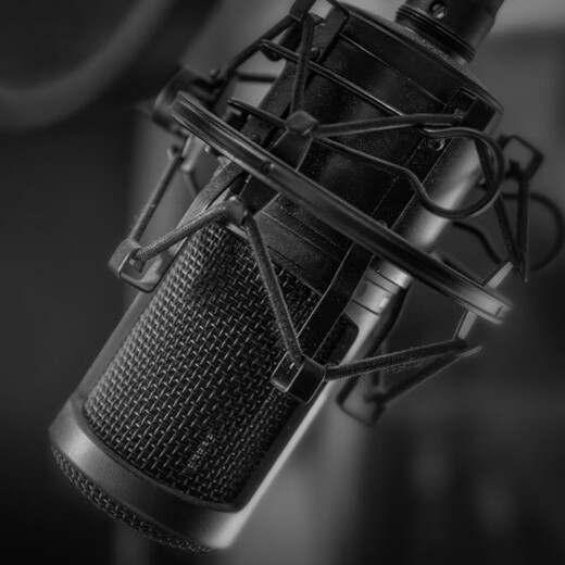 Behringer Behringer BM1 microphone computer microphone live broadcast sound card karaoke audiobook recording large diaphragm heart-shaped condenser microphone BM1 desktop stand