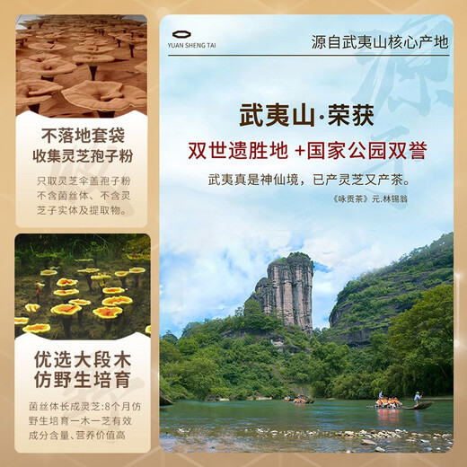元生泰【体验装组合】武夷山元生泰破壁灵芝孢子粉10g+灵芝孢子油8粒 破壁灵芝孢子粉10g+灵芝孢子油8粒
